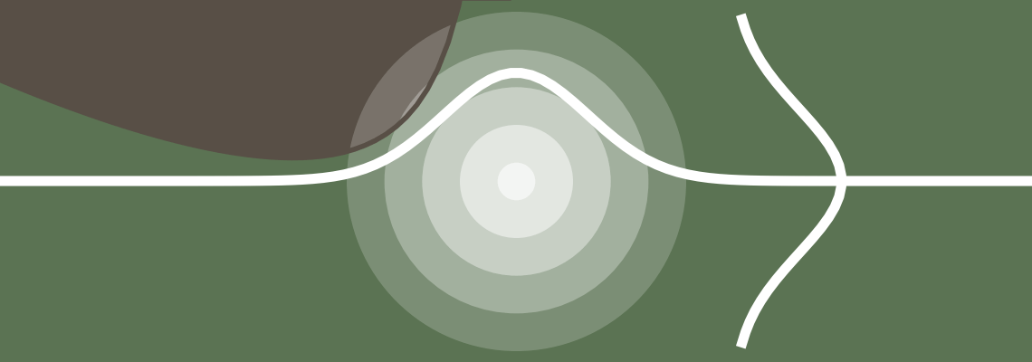 The response of a model is expressed by explicitly taking the uncertainties of the model into account.